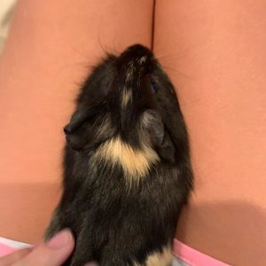 Meet your Posher, Kate